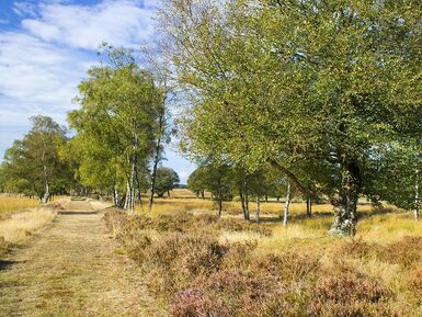 veluwe-omgeving